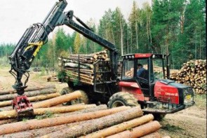 Перспективы лесопромышленности к 2013 году